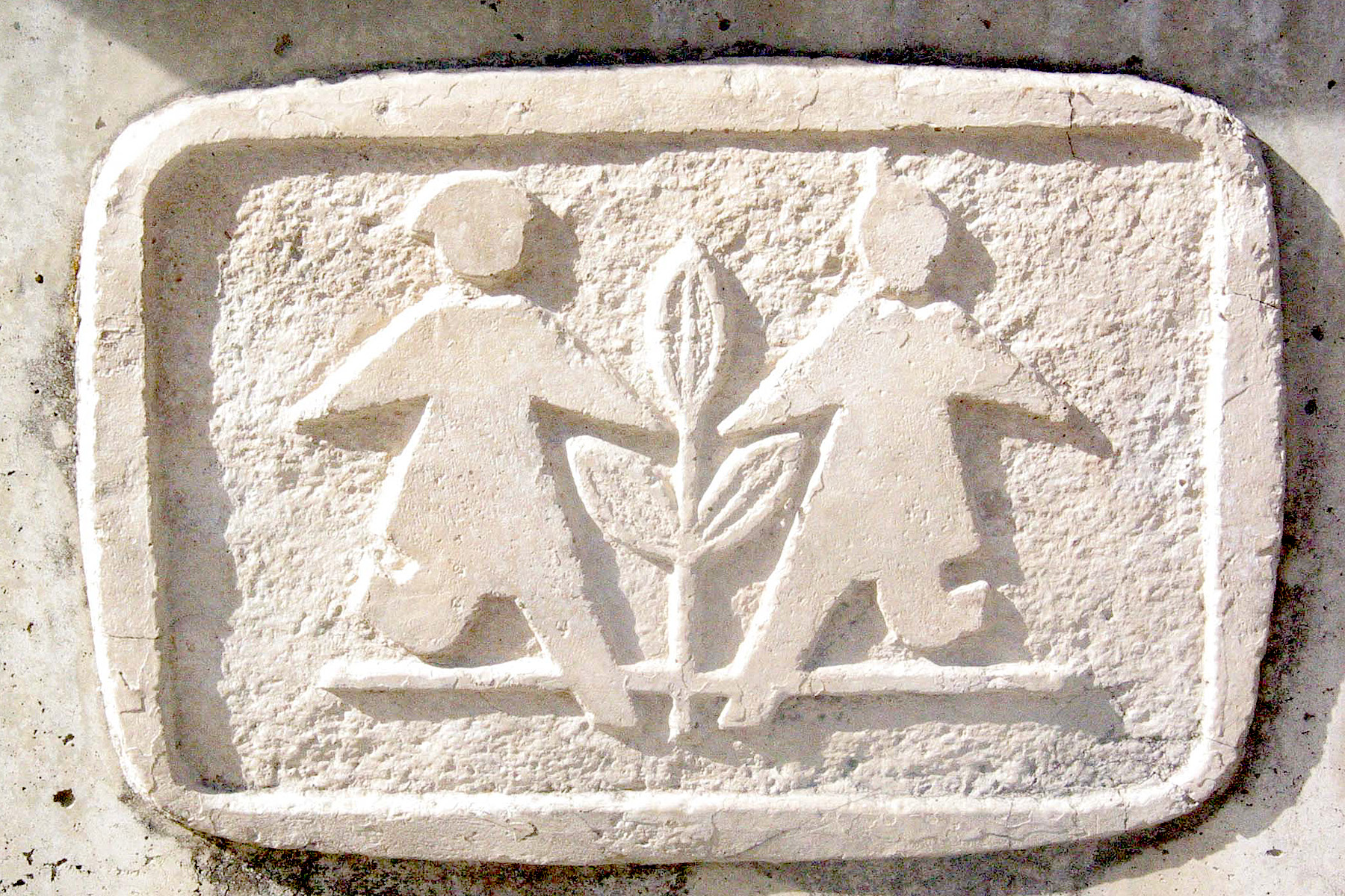 Ásakanir á hendur stofnanda SOS