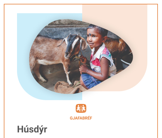 Gjafabréf - Húsdýr