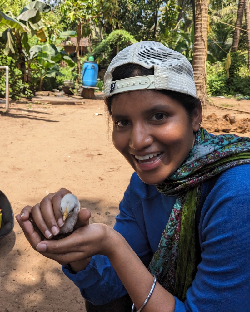 Ambika er mikill dýravinur og tekur að sér flækingshunda og -ketti auk þess að hjálpa fleiri dýrum.