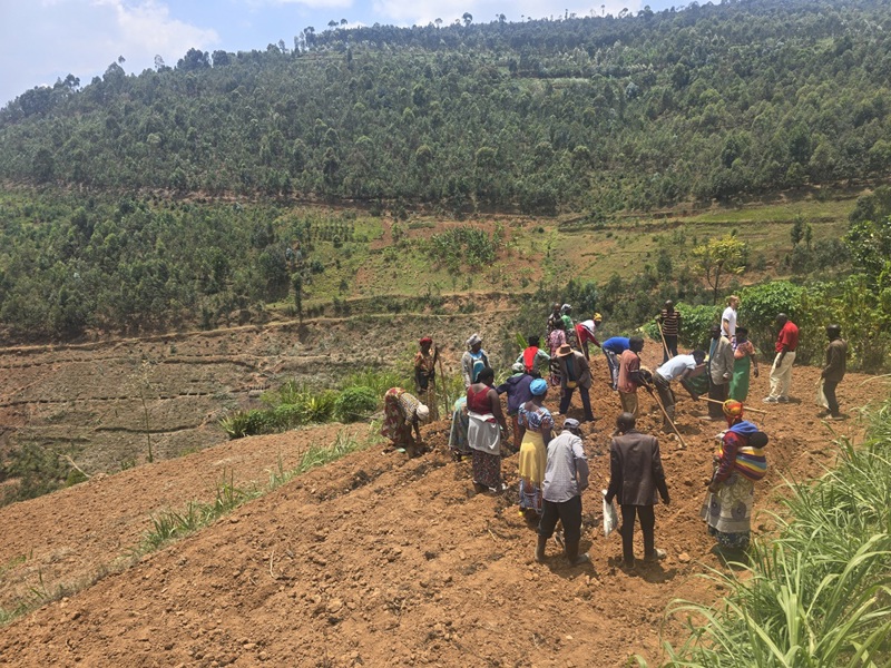Rúanda er þekkt fyrir bratt, hæðótt landslag sem íbúar handmoka í og búa til rásir fyrir ræktun sem taka á móti regnvatni. Fólkið sýnir hér Rúrik handtökin.