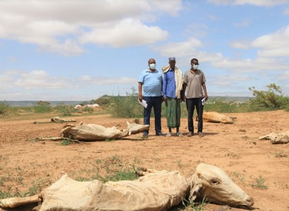 Stuðningur frá SOS á Íslandi vegna yfirvofandi hungursneyðar í Afríku